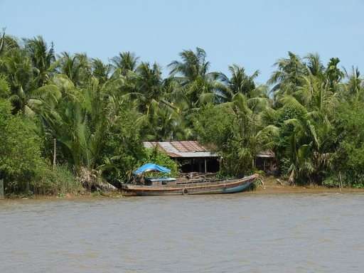 Hình nhỏ