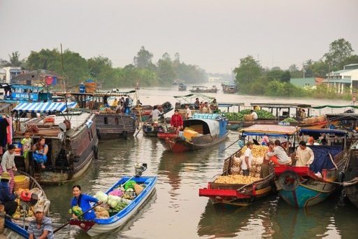 Hình nhỏ