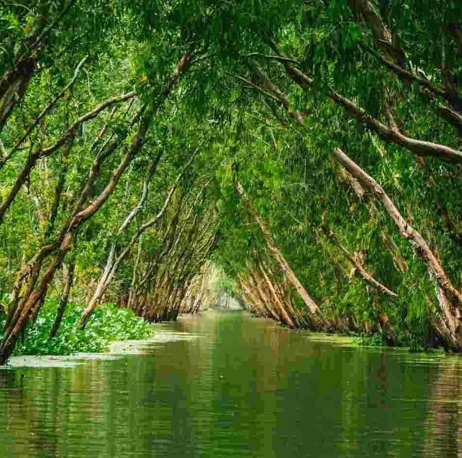 Du Lịch Miệt Vườn Đồng bằng Sông Cửu Long
